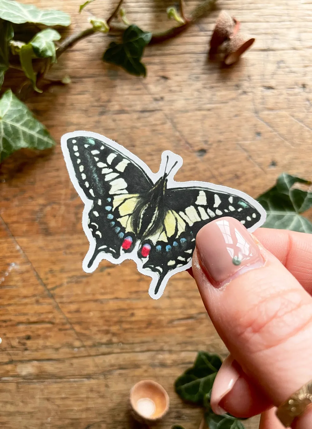 Entomology Matte Vinyl Sticker Set