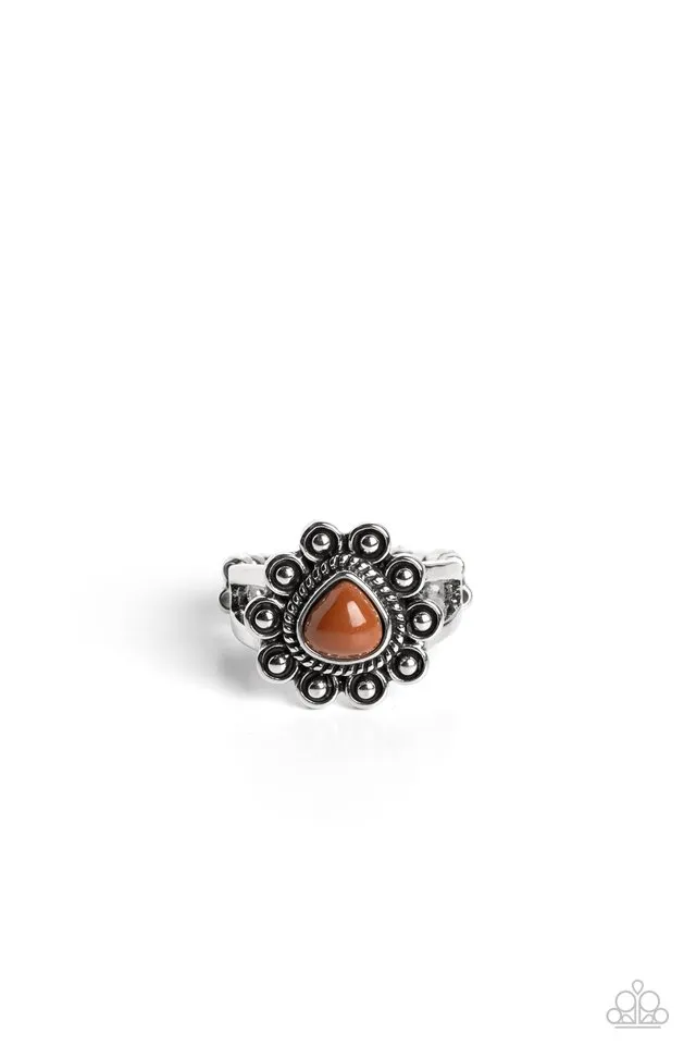 Paparazzi Ring ~ Fruity Frou-Frou - Brown