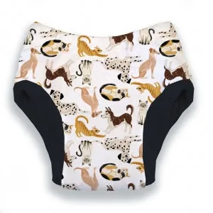 Thirsties Potty Training Pant